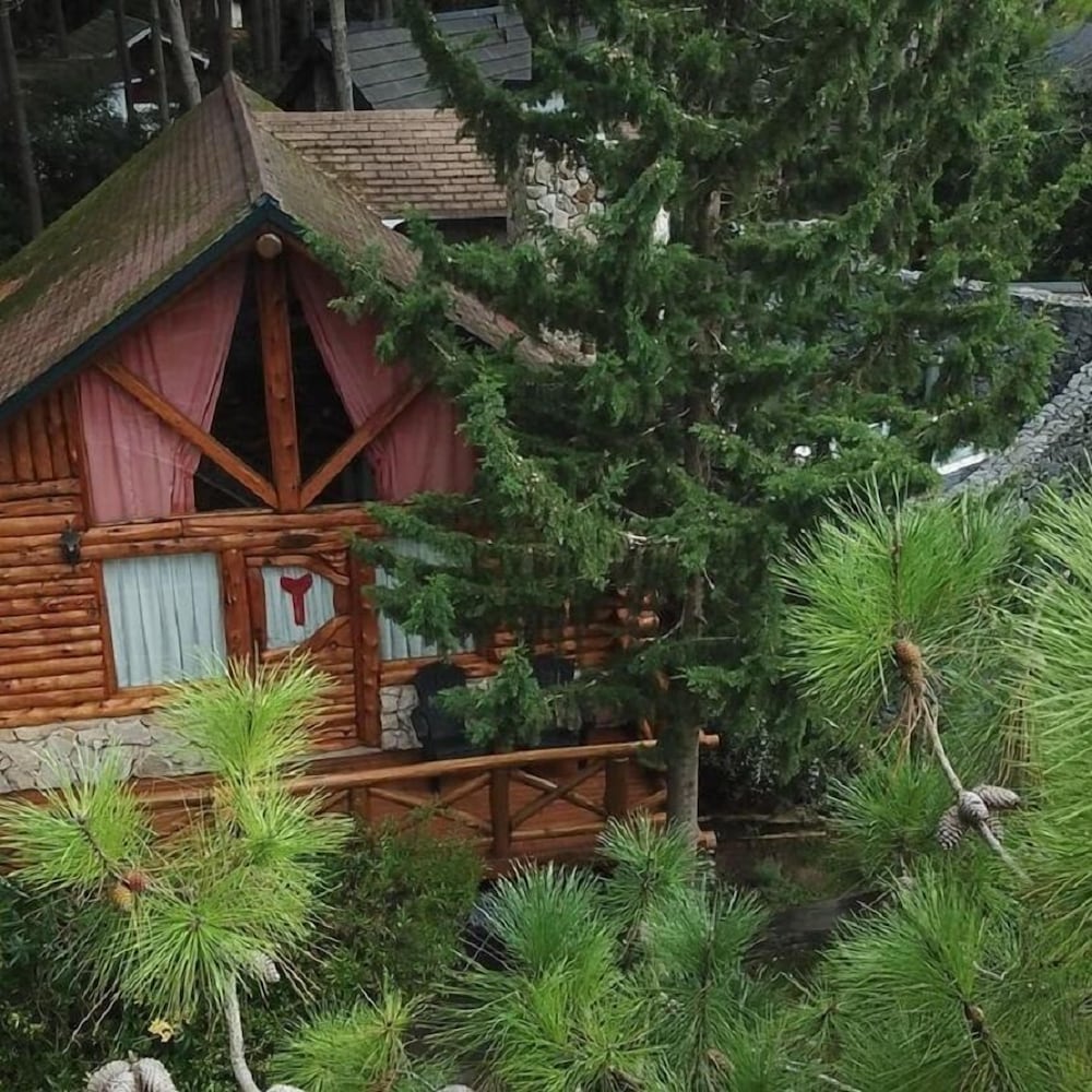 Cabañas Mapuche