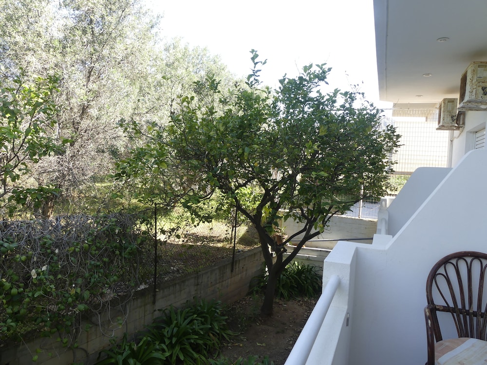 AMZ Apartments