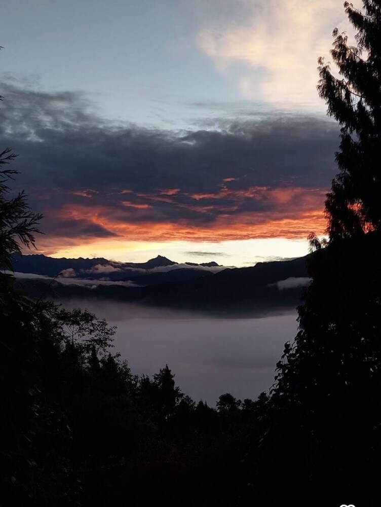 Goroomgo Pink Floyed Homestay Kalimpong