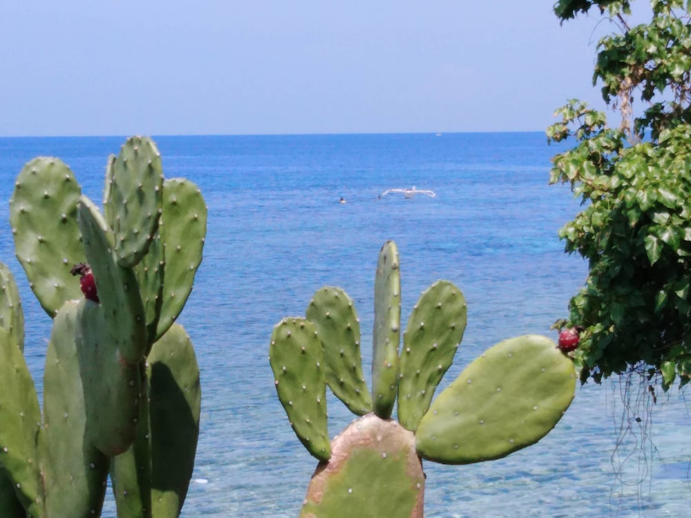 Hambilica Ecolodge