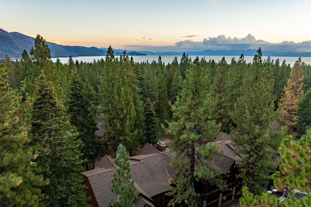 Incline Paradise by Avantstay Walk to Town Lake 5mins to Ski Resort