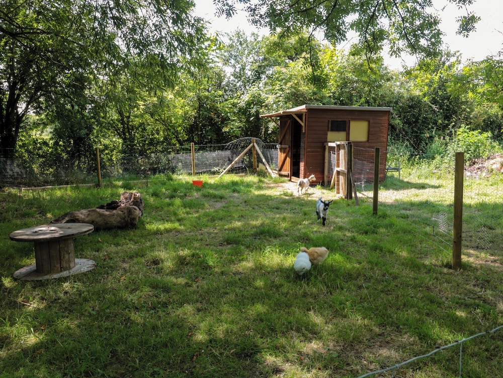 The Foxes Den Shepherds Hut