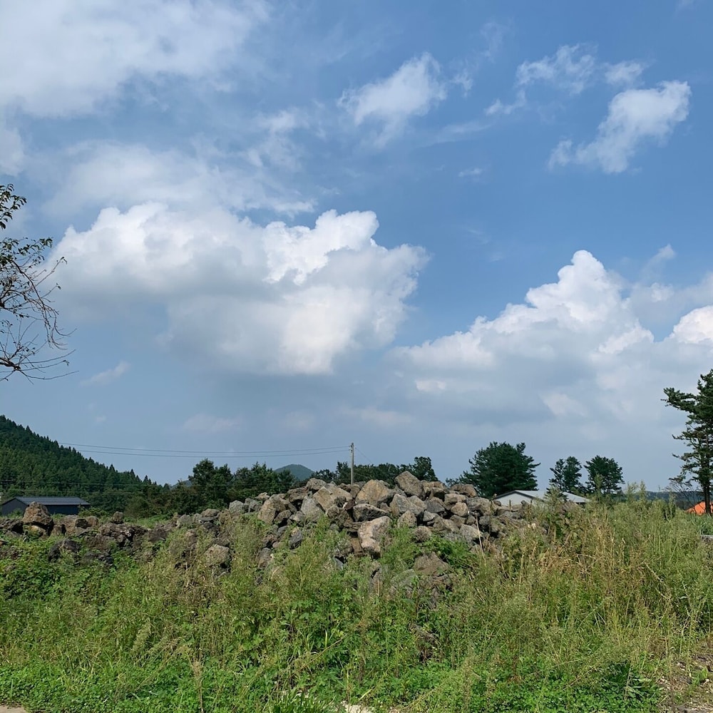Woojinsam Pension