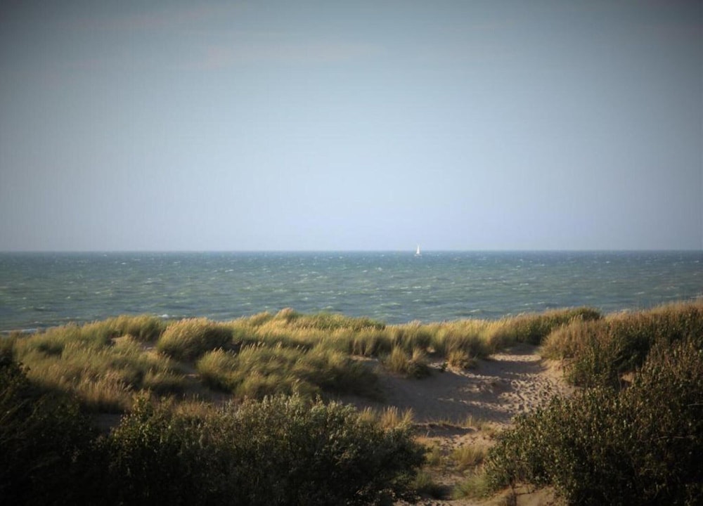 Penthouse in De Haan With Sea View
