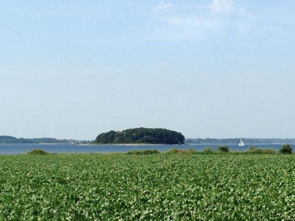 Askø Bed & Breakfast