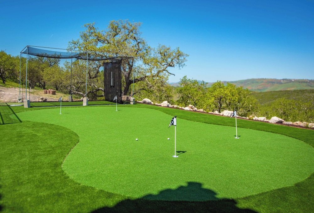 Blue Oak Oasis