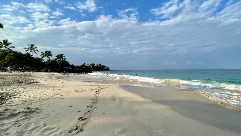 Sophisticated Oceanfront Retreat - Air-conditioned - Walk to Beach - Vrkcv