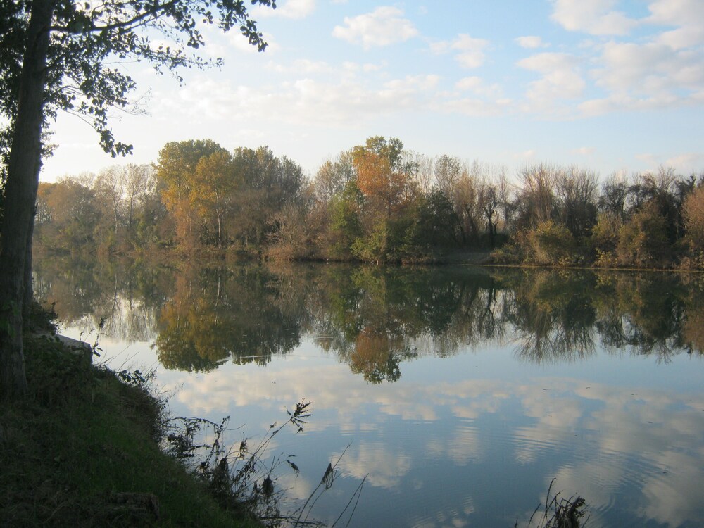 Photo 29
