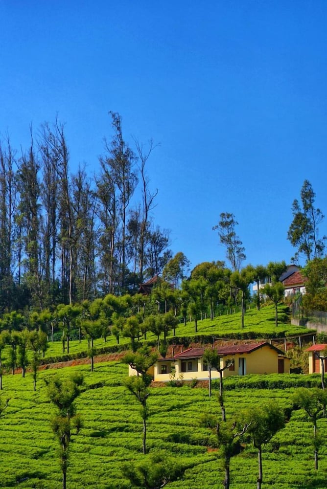 THE HILL BUNK HEIGHTS OOTY