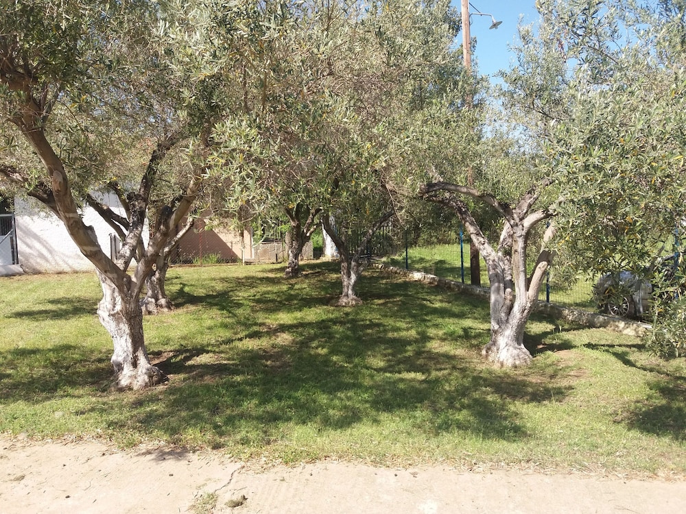 ''Mary's House'' Entire residence Olympiada Halkidiki Near to See 200m! photo 5