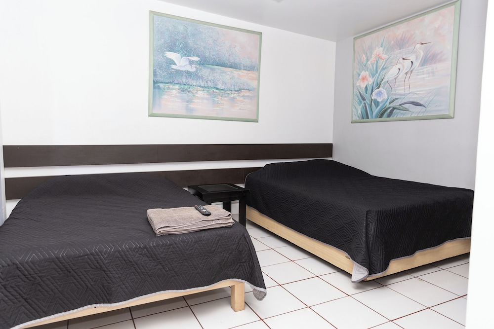 Lofts Oaxaca