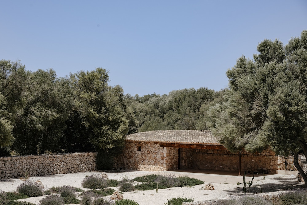 Photo 45