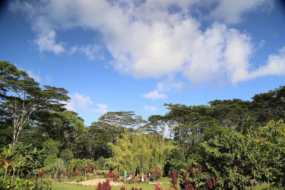 Hawaiian Sanctuary