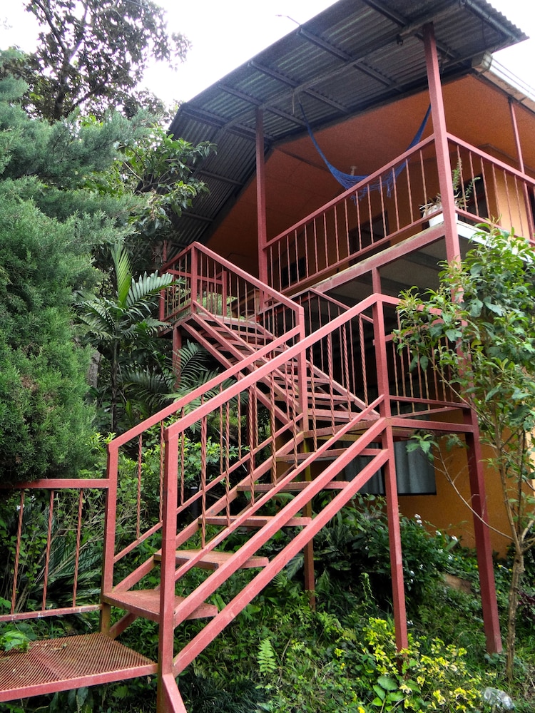 Hummingbird House B&B