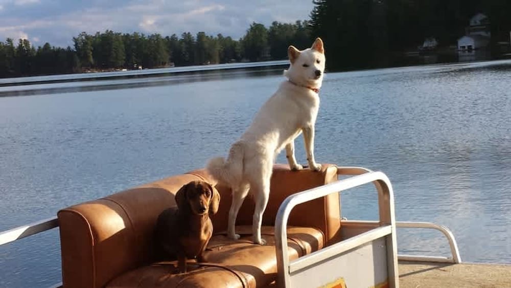 Island Waterfront w Pontoon Boat Hottub Dogs Lv