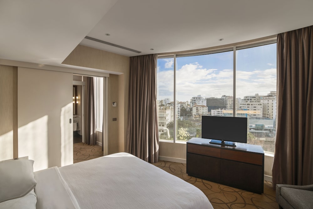 Embassy Suites by Hilton Santo Domingo - Property Image 57