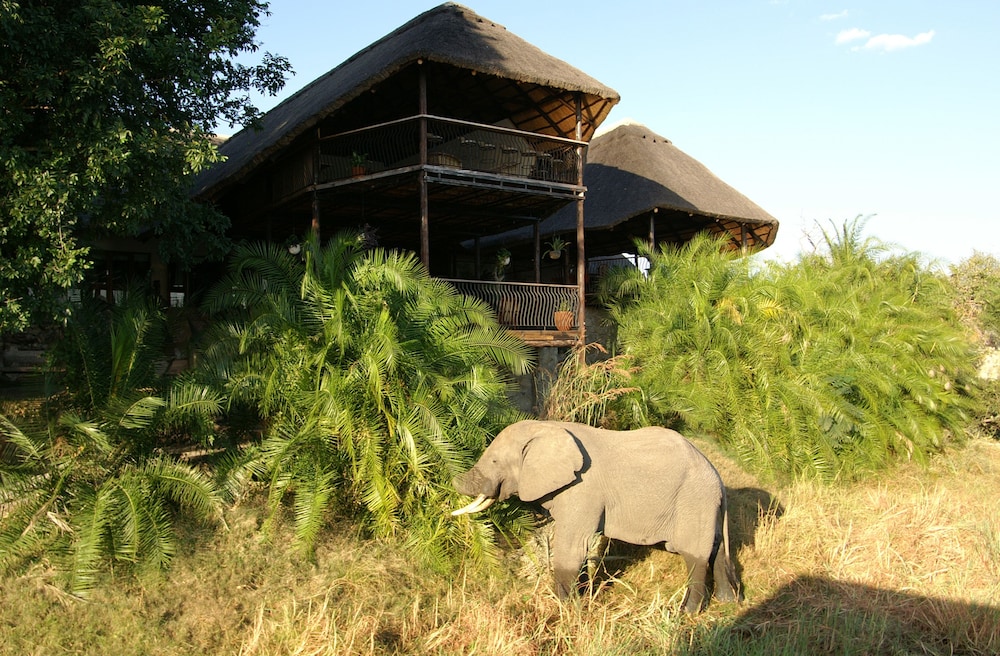 Mukambi Safari Lodge