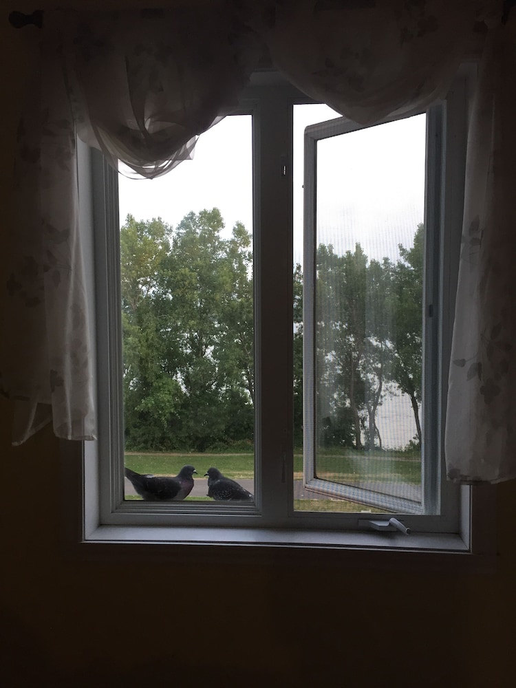 Photo 49