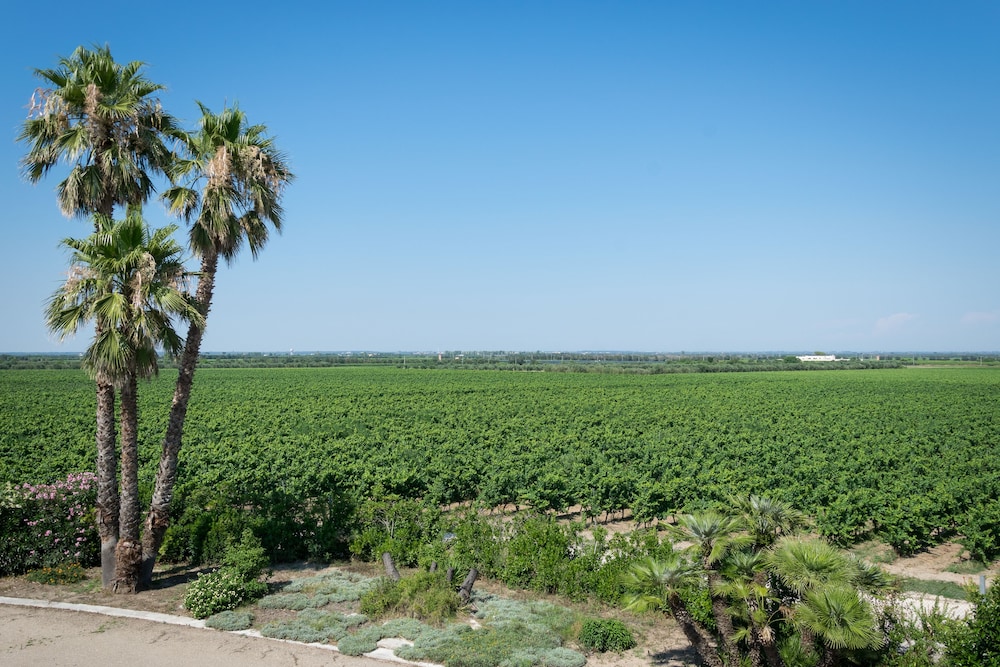 Masseria Mazzetta Salento