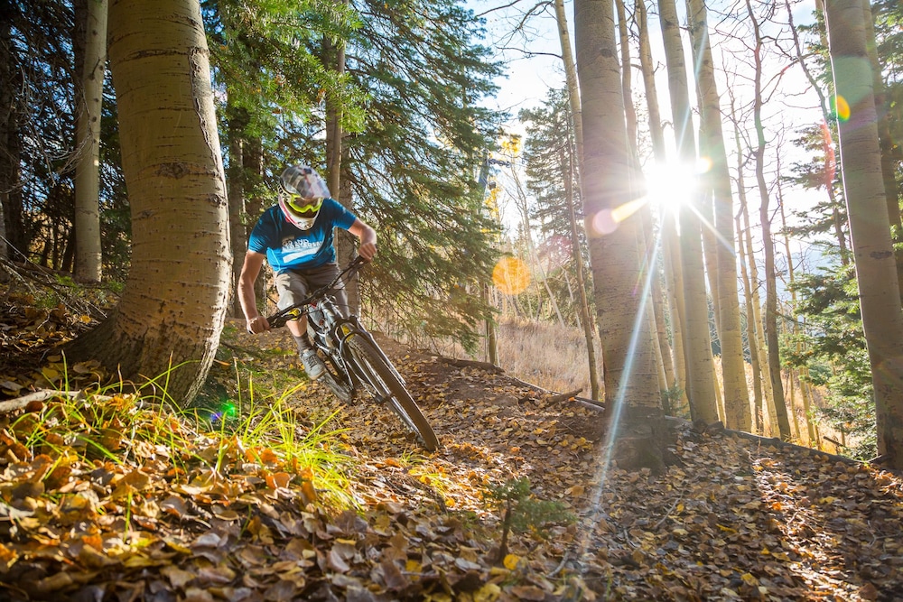 WestWall Lodge - Property Image 152