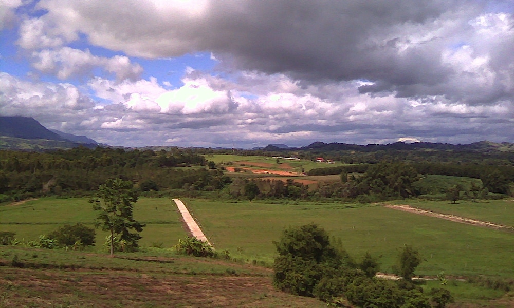 other