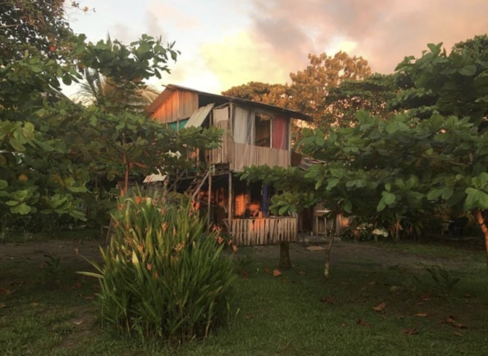 Miguel Surf  Camp