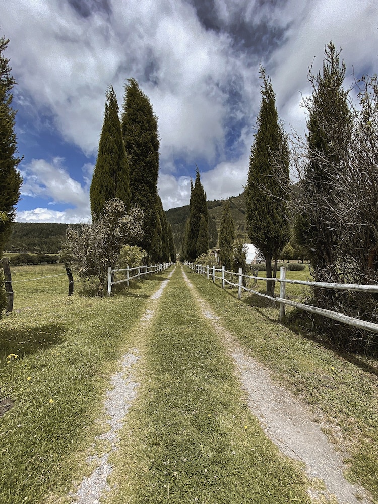 Photo 24