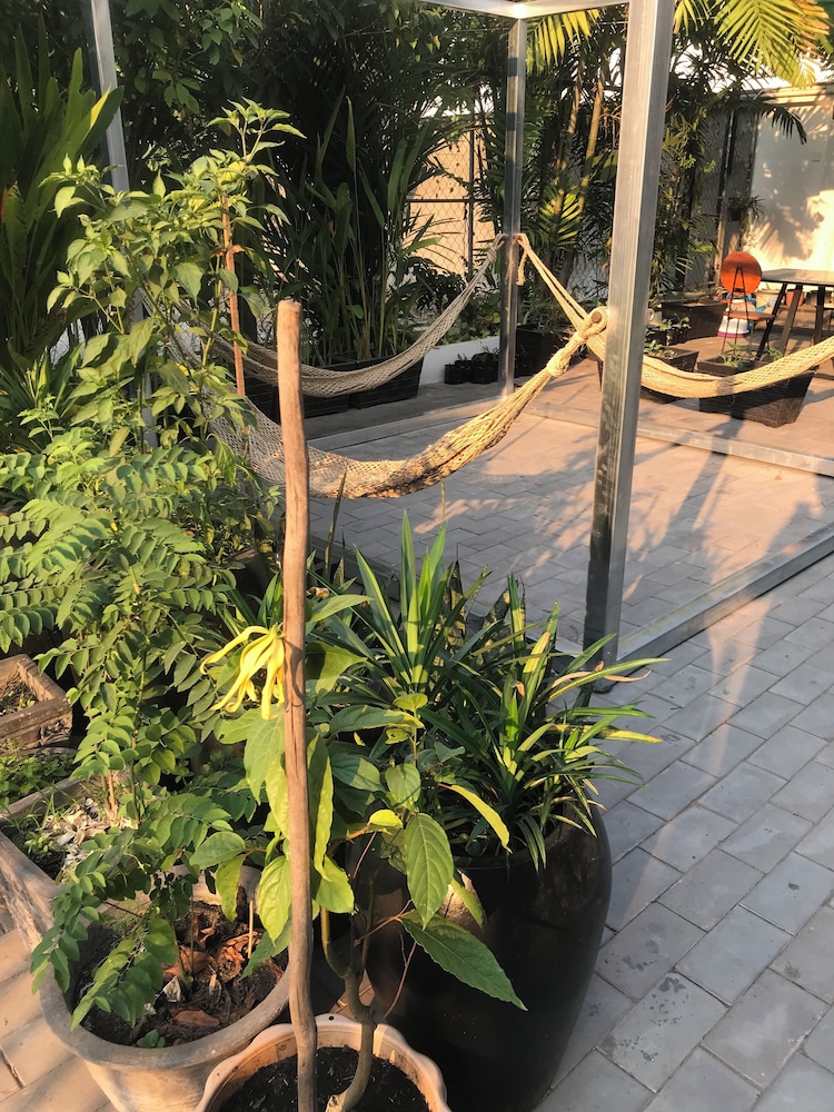 Siem reap Homesteading II
