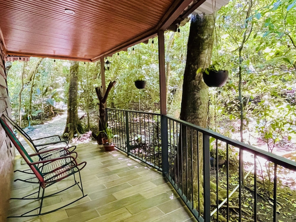 Photo 49