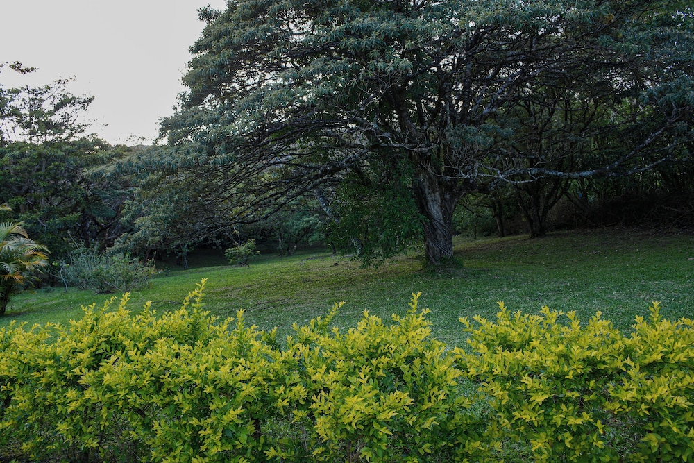 Las Marias Monteverde Cottages & Gardens