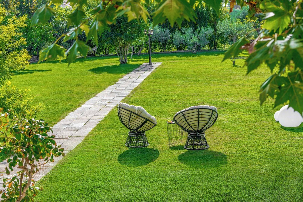 Harmony Haven