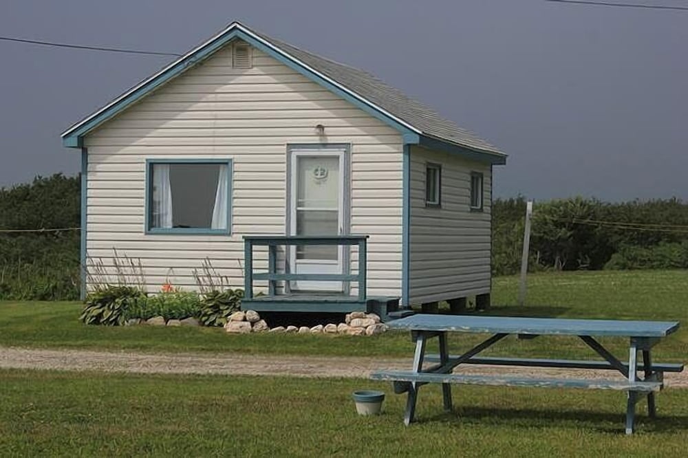 Photo 46