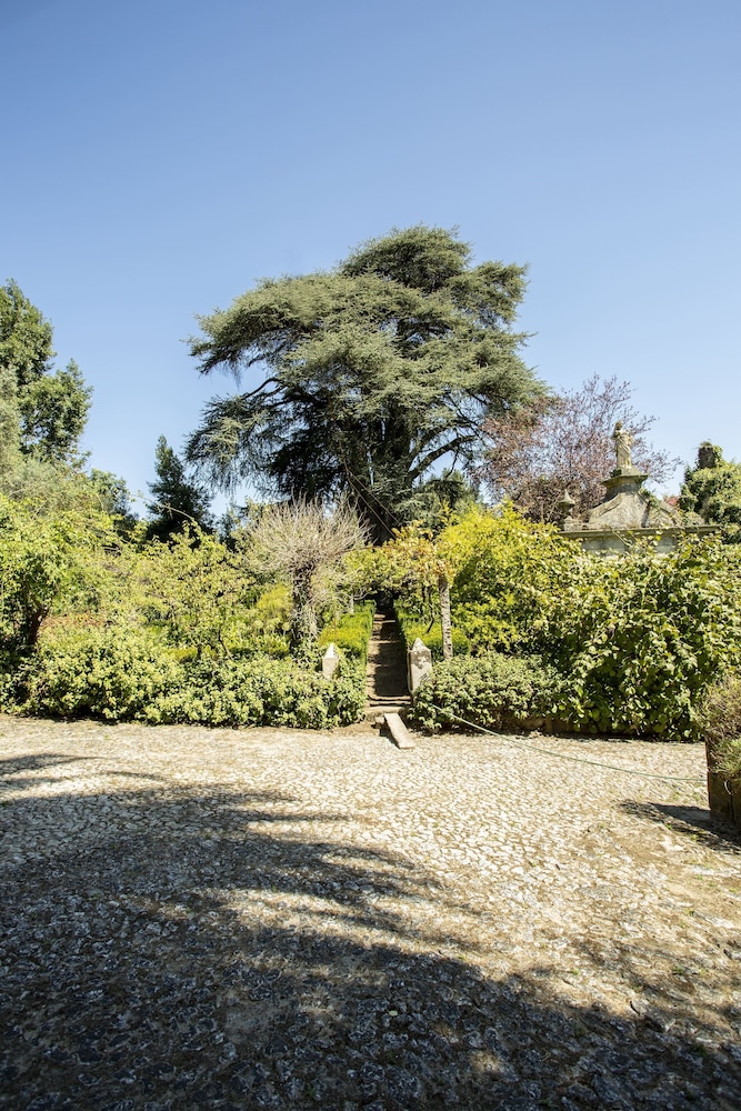 Quinta de São Caetano, photo 13