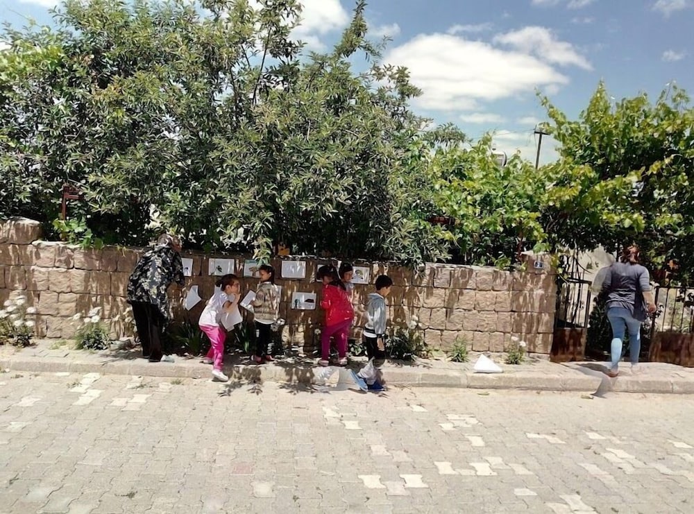 Photo 19