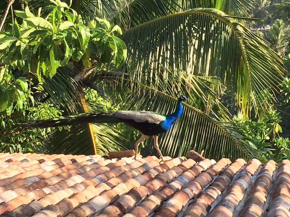 Lanka Eco Village