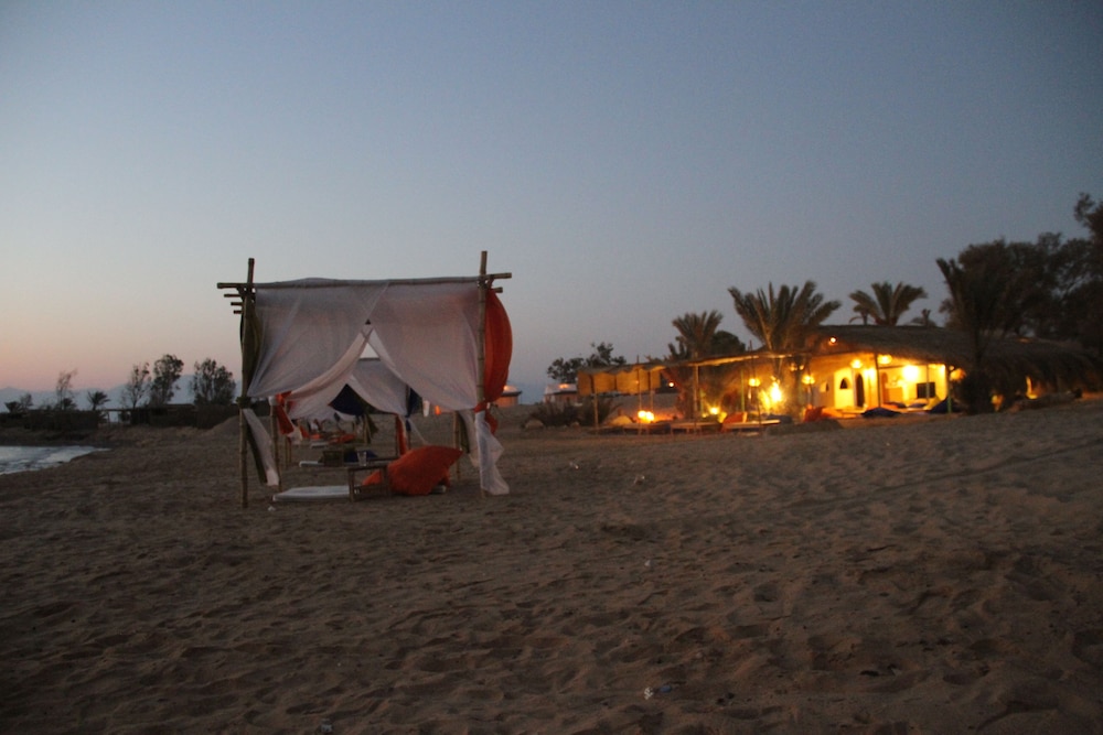 Ayla Camp