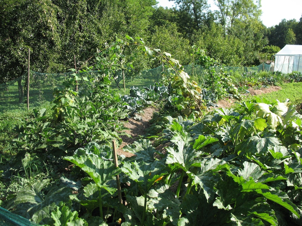 Campo di Cielo