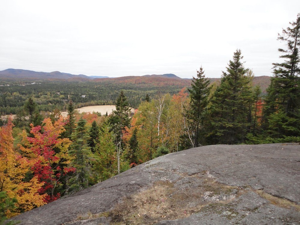 Domaine du parc de la forêt ouareau