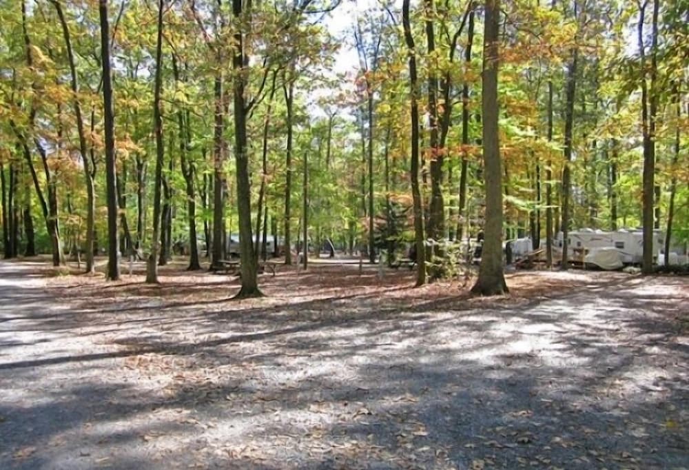 Appalachian Campsites