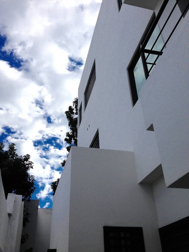 Photo 31