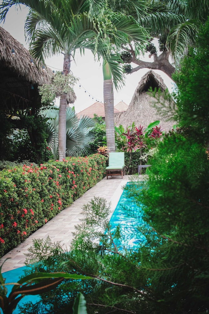 Prima Luna Palomino - Property Image 25