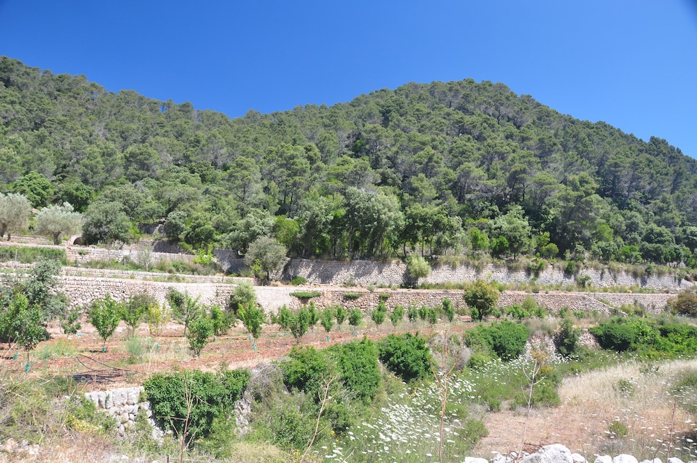 Agroturismo Sa Campaneta