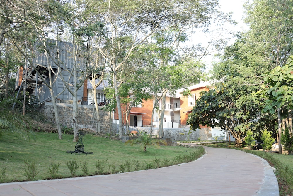 Photo 46