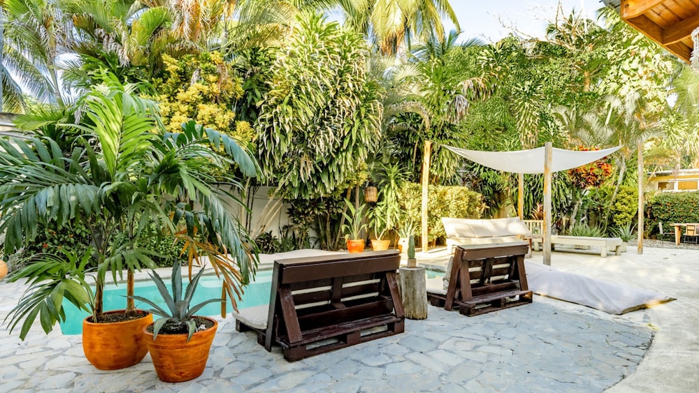 Dreamer Basic Room With Private Terrace