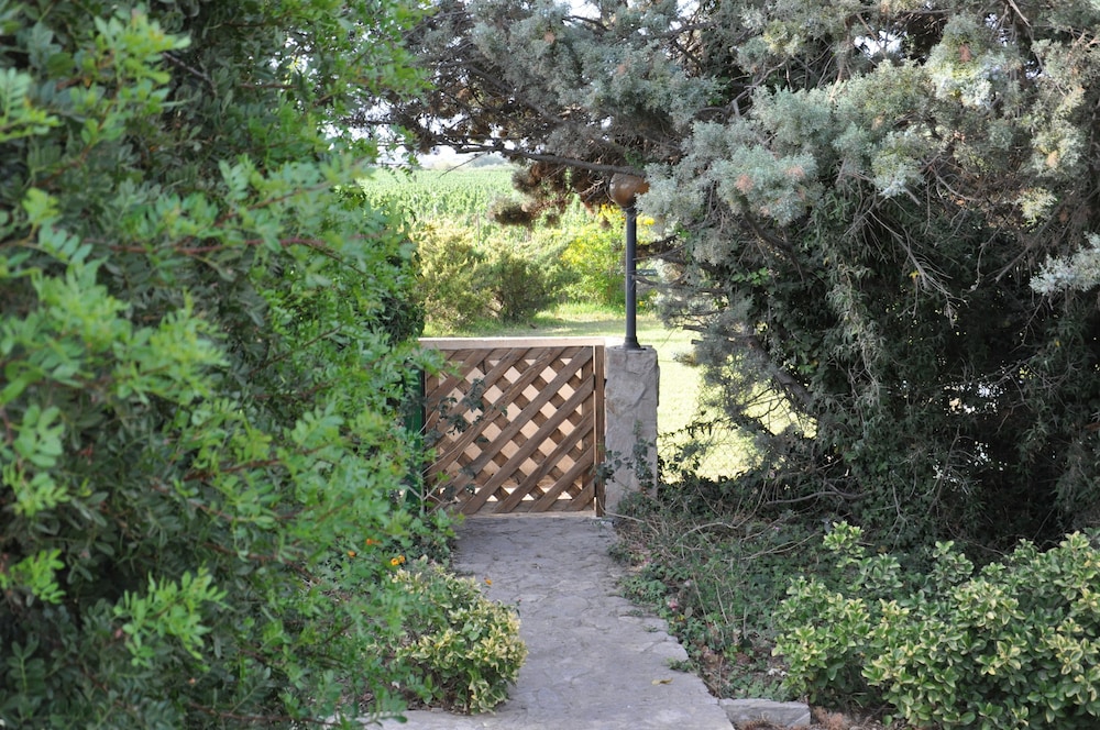 Photo 16