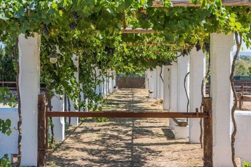 Tia Maria Country Inn