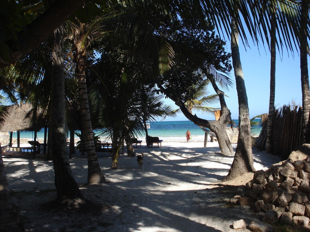 Coconut Beach Apartments