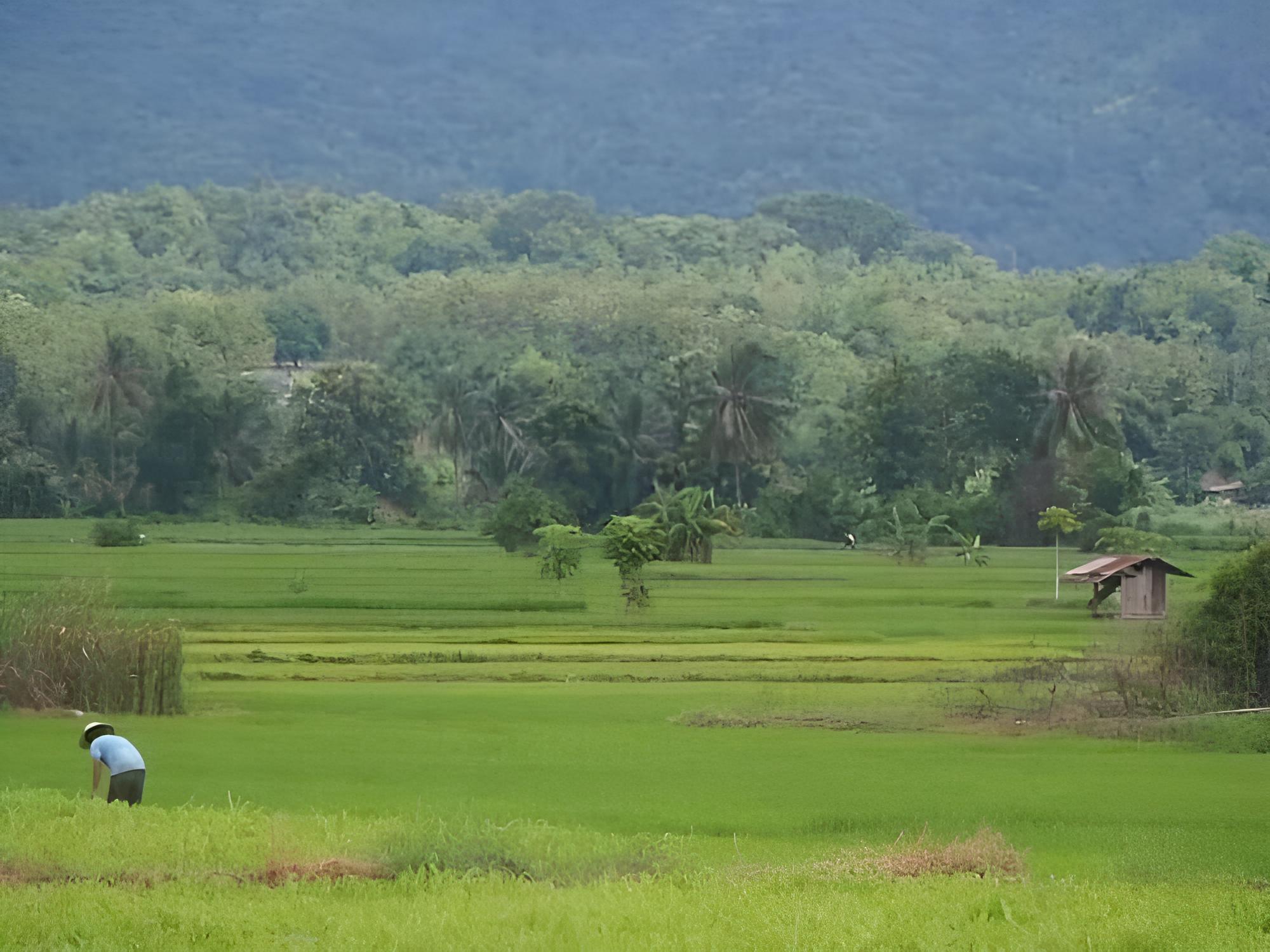 Le Kuna Farm Stay