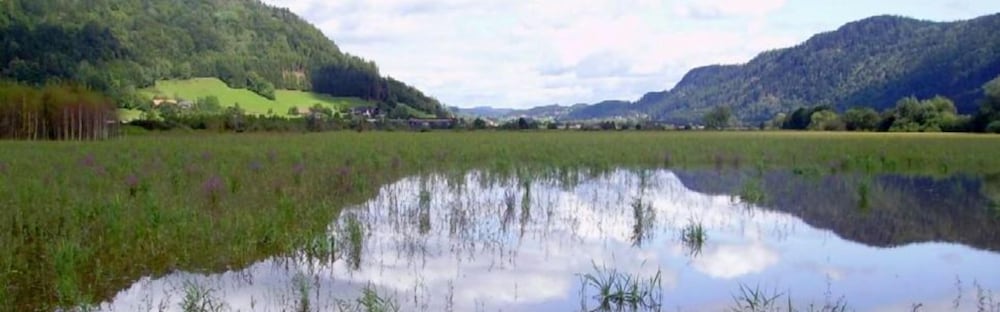 See-Areal Steindorf