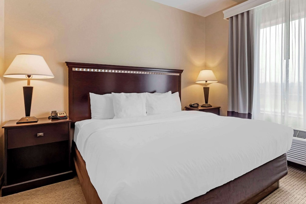 Palestine Vacations - Comfort Suites - Property Image 31